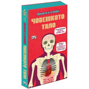 Прочети и сглоби!: Човешкото тяло + макет